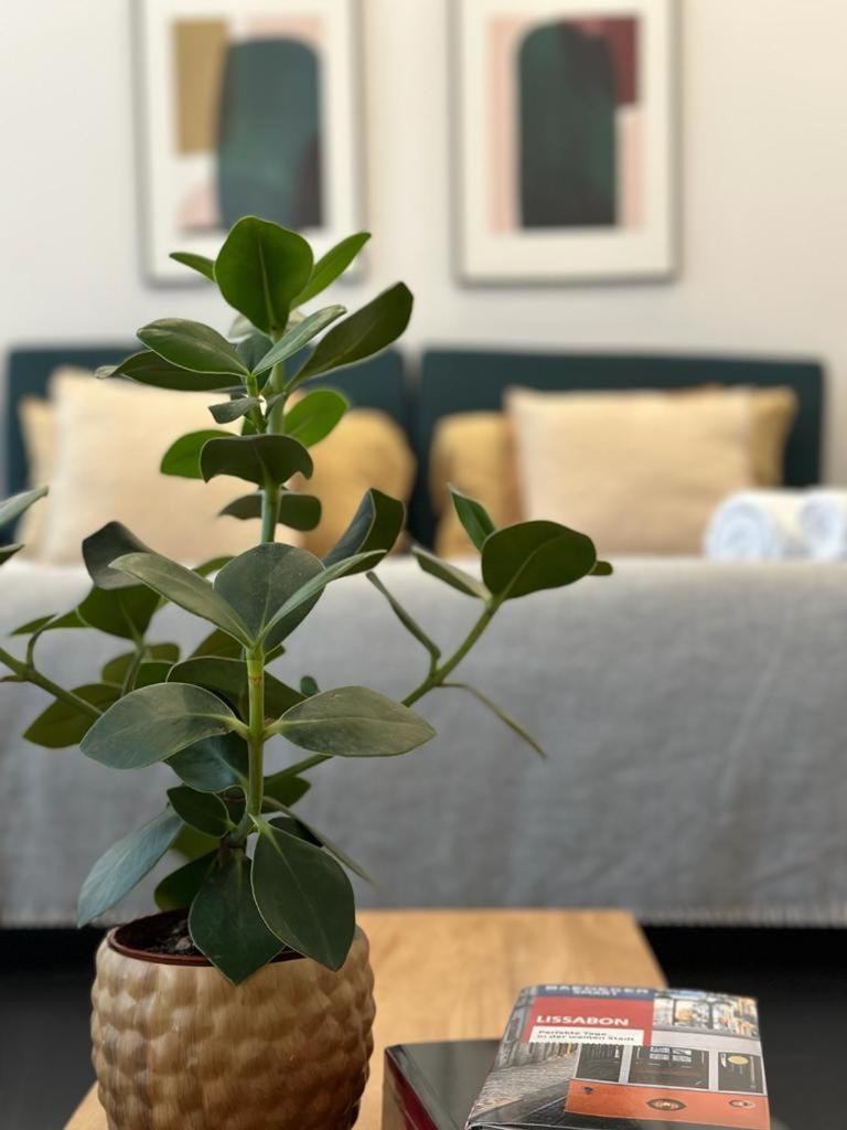 Accommodatie bij particulieren Com Varanda Centro De *